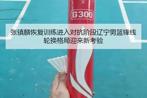 张镇麟恢复训练进入对抗阶段辽宁男篮锋线轮换格局迎来新考验